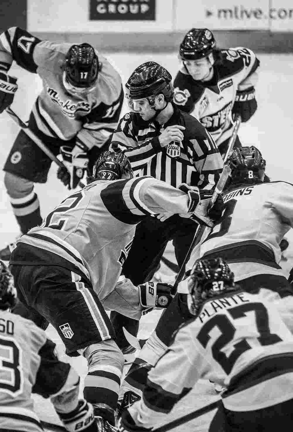 Hockey players and referee